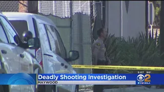 Deadly shooting investigation in Maywood