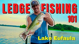LEDGE FISHING 101--- Catching HUGE BASS on LAKE EUFAULA (Big Crankbaits, Carolina Rigs, and MORE)