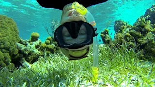 Snorkeling At Highborne Cay, Exumas, Bahamas | Sailboat Story 36