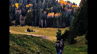 Elk Hunt 2023 / New Mexico / Unit 34 / Lincoln National Forest