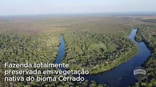 Fazenda à Venda em Luciára, MT-4.989 hectares- Oportunidade de Investimento em Valorização de Terras