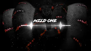 [SOLD] Hard Dark Aggressive Freestyle Trap Beat - "Wild One" - HipHop/Trap instrumental 2020