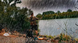Бешеный клёв в дождь  // Рыбалка на донки