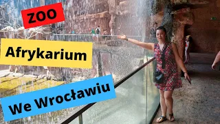 ZOO, AFRYKARIUM I OCEANARIUM  WE WROCŁAWIU. Zwiedzamy Wrocław po biciu rekordu Guinnessa cz. 1