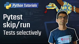 Python unit testing - skip/selectively run tests in pytest