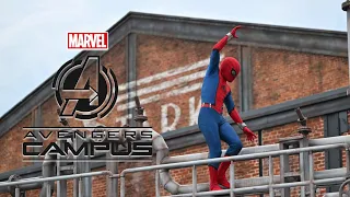 L'incroyable Spider-Man - Marvel Avengers Campus