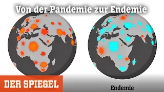 Von der Pandemie zur Endemie: Wie kommen wir da jemals wieder raus? | DER SPIEGEL