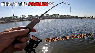 Why Do I Keep Losing Fish on Dropshot at Santa Ana River Lakes? - (Including Underwater Footage)