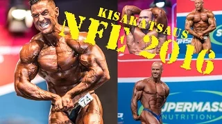 NFE2016 -kisakooste - Penkkipunnerrus.fi