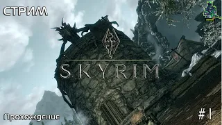 The Elder Scrolls V: Skyrim  Начало прохождения Часть 1 #TESV#Skyrim#stream#прохождение