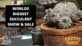 I went to the Intercity Cactus & Succulent show and sale: The worlds rarest plants and best growers.