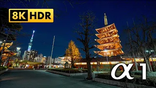 α1【8K HDR】浅草寺ウォーキング 2024 | Walk in Asakusa Senso-ji