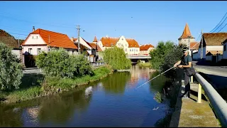 PESCUIT în JUNGLA RURALĂ, pe meleaguri SIBIENE - CLENI de CIBIN