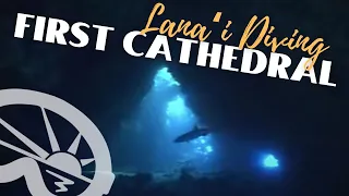 "First Cathedral" dive site on Lanai with Extended Horizons Scuba Maui
