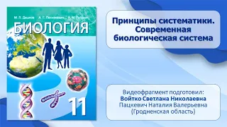 Тема 50. Принципы систематики. Современная биологическая система