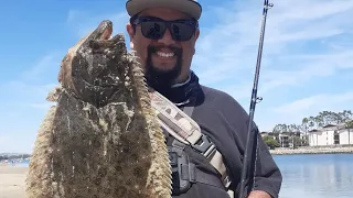 FISHING IN THE HARBOR! LEGAL HALIBUT ROAMING THE HARBOR SAND! (Swimbait Teachings in the Moment)