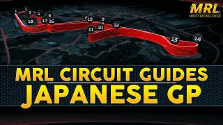 F1 2020 Japan Track Guide & Setup - How to Master Japan Suzuka