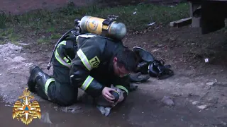 В Твери пожарный спас кота