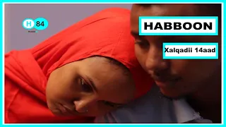 HABBOON S1 Ep14: "Kalkaaliso Ka Fiican Ma Arkin"