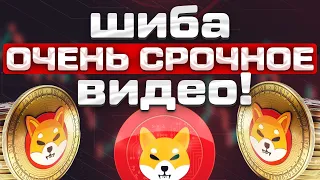 SHIBA - ОЧЕНЬ СРОЧНЫЙ АНАЛИЗ ШИБА И ДОГИ! ОЧЕНЬ ВАЖНОЕ ВИДЕО!