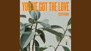 You've Got The Love (Sistek Remix)