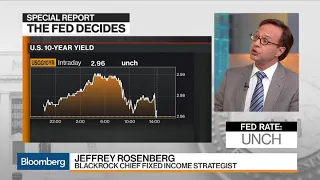 Where BlackRock's Rosenberg Is Finding Opportunity in Fixed Income