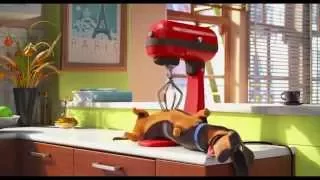 "Puppy Mixer Massage" (from "Secret Life of Pets")