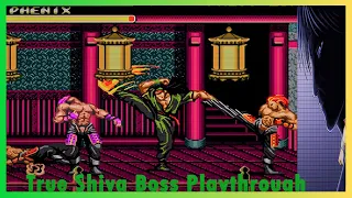 Streets of Rage 3 City Hall Shiva Boss Longplay (Very Hard one live)