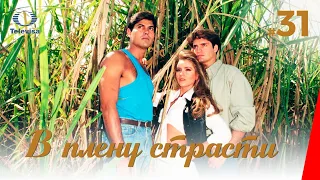 В ПЛЕНУ СТРАСТИ / Cañaveral de pasiones (31 серия) (1997) сериал