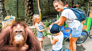 An Unforgettable Day At The Bali Zoo