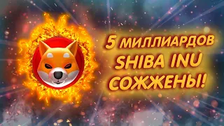 SHIBA INU: СОЗДАТЕЛИ ВЫПУСТИЛИ ИГРУ ПРО ШИБ!/ 5 МИЛЛИАРДОВ ТОКЕНОВ СЖЁГ ПОРТАЛ ШИБЫ!