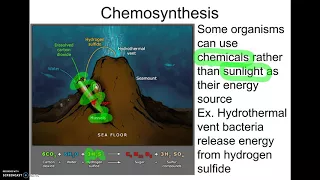 11-26 AP18 Photosynthesis Intro