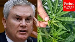 James Comer Presses Official On How FDA’s Lack Of Action & Regulation Has Impacted Hemp Industry