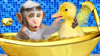 Baby Monkey Chu Chu Rescues a Stuck Duckling eats rainbow ice cream with Duckling