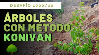 El mejor TRUCO Para Plantar ÁRBOLES | MÉTODO KONIVAN | PROYECTO SUSTENTABLE ÑAMKU