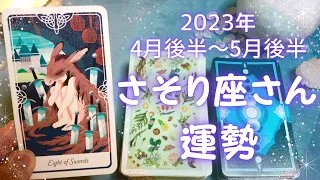 さそり座さん♏️4月後半〜5月前半の運勢✨全体運・仕事運・人間関係・金運