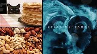 Не все коту масленица - Среда обитания | Документальный фильм