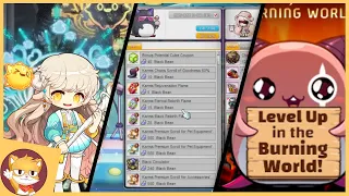 Amazing EXP Events, Burning and New Event Stores | MapleStory On Air Update event guide