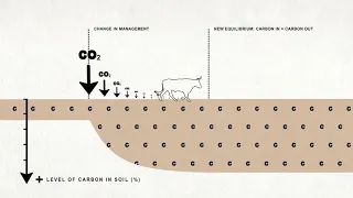 Grazed and Confused? How much can grazing livestock help to mitigate climate change?