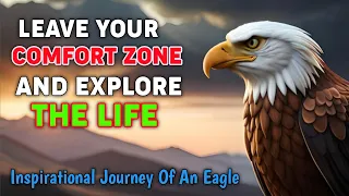 Why You Should Leave Comfort Zone ~ A Journey Of An Eagle