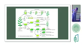 Доклад «Перспективы микроклонального размножения растений», Наталия Легенчук