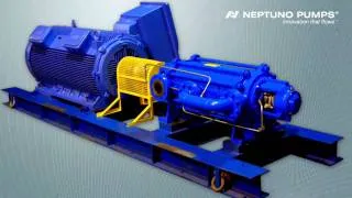 Neptuno Pumps® Horizontal Multistage Pumps