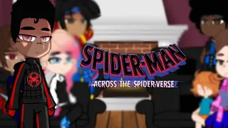 the spider verse reacts || spider-man- across the spiderverse || pt 1