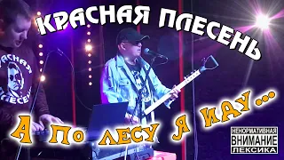 КРАСНАЯ ПЛЕСЕНЬ - А ПО ЛЕСУ Я ИДУ...