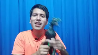 PROFESOR TRIQUERO HABLA GRUESO