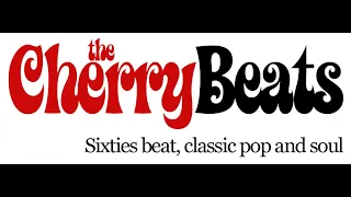 The Cherry Beats  - Blue Suede Shoes (Live at One Louder Studios)