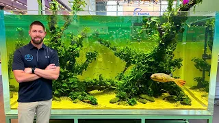 6,000L Mbu Pufferfish Aquarium! (Interzoo Highlights!)