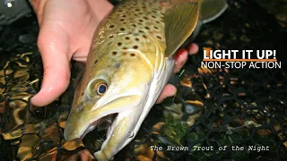 Night Fly Fishing for Brown Trout in Colorado