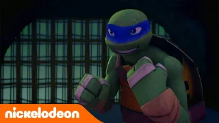 Las Tortugas Ninja | ¿Quién te enseñó eso? | TMNT | Nickelodeon en Español