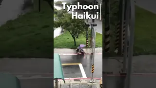 Typhoon Haikui